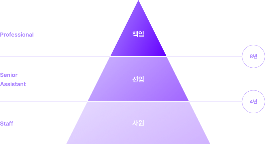 직급체계 사원-선임-책임